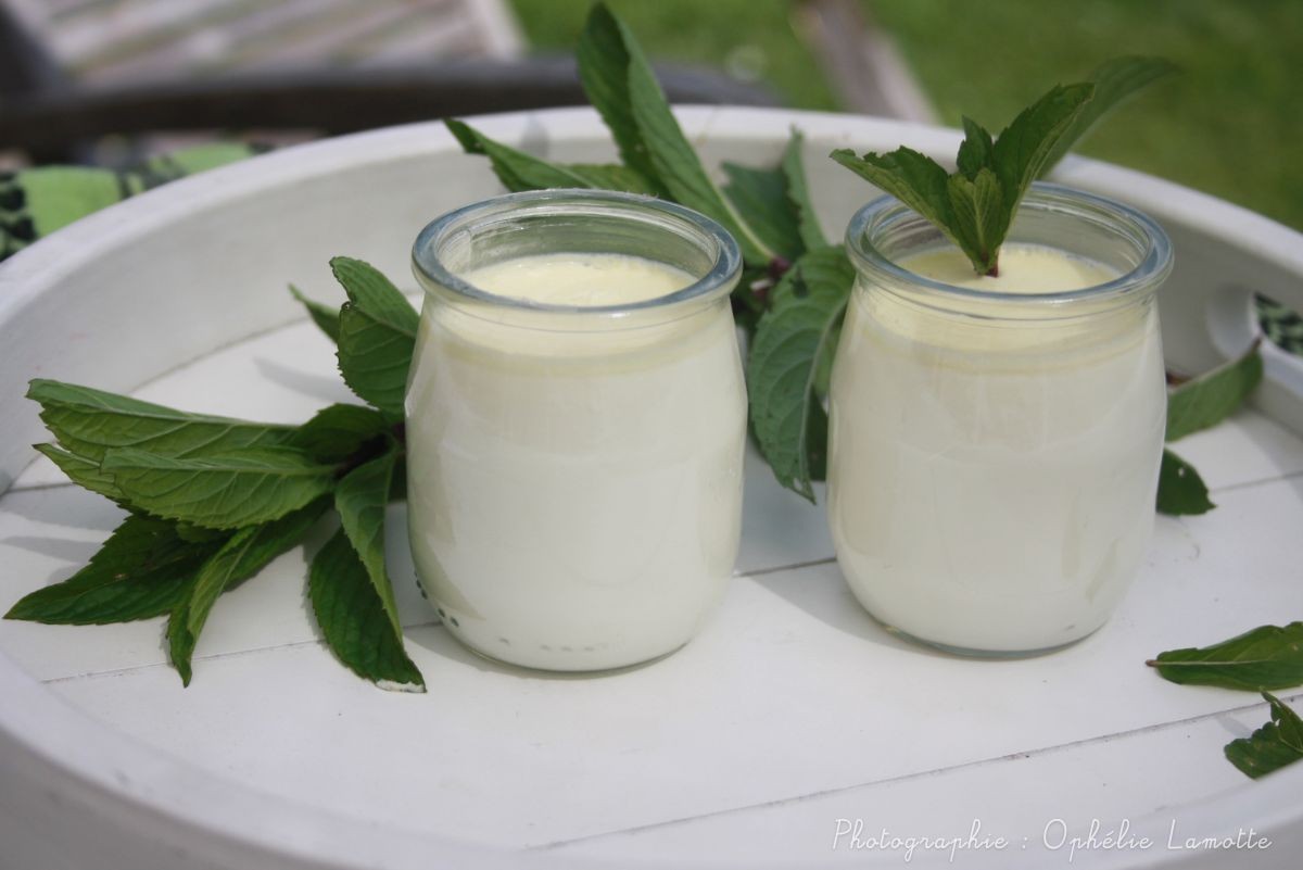 Yaourt à la menthe