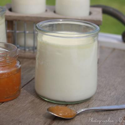 30 recettes de yaourts et fromages frais