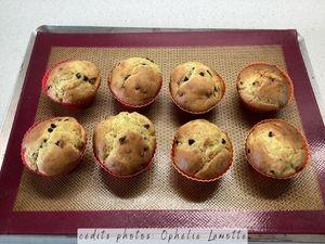 Muffins américains cuits