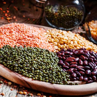Les légumineuses ou légumes secs