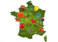 Dietetique locale, Ophélie Lamotte, ancinnes, mamers, alencon