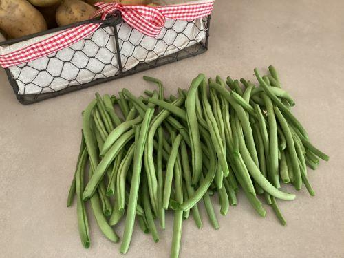 Haricots verts du Jardin - Ophélie LAMOTTE Diététicienne Nutritionniste Alençon, Mamers, Ancinnes