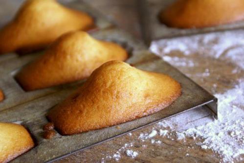 photo de madeleines ( internet libre droit)