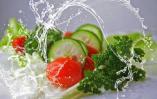 Salade fraiche, tomates, concombres, laitues ( canicule, fortes chaleurs, s'hydrater, quoi manger)