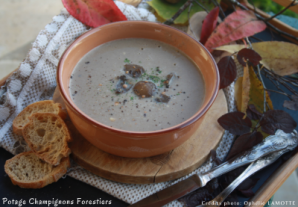 Potage de champignons Forestiers - Ophélie LAMOTTE