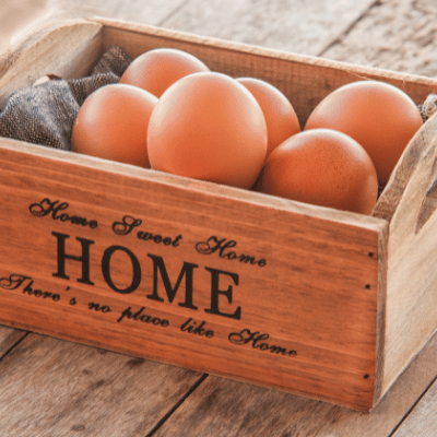 les oeufs de ferme - Ophélie Lamotte diététicienne nutritionniste